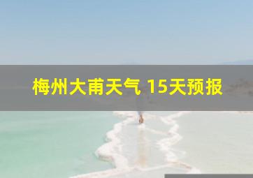 梅州大甫天气 15天预报